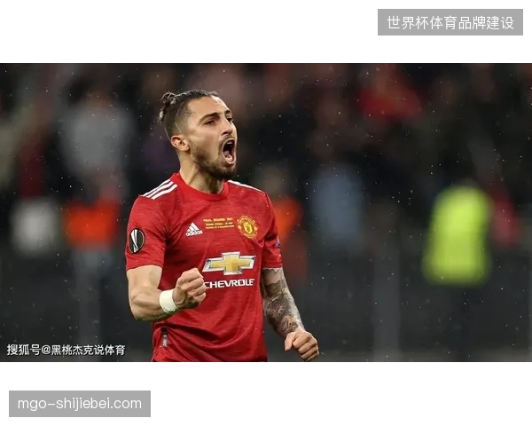 尽管曼联与阿森纳等队表示兴趣，但纽卡斯尔联无意出售合同长达数年的关键球员霍尔